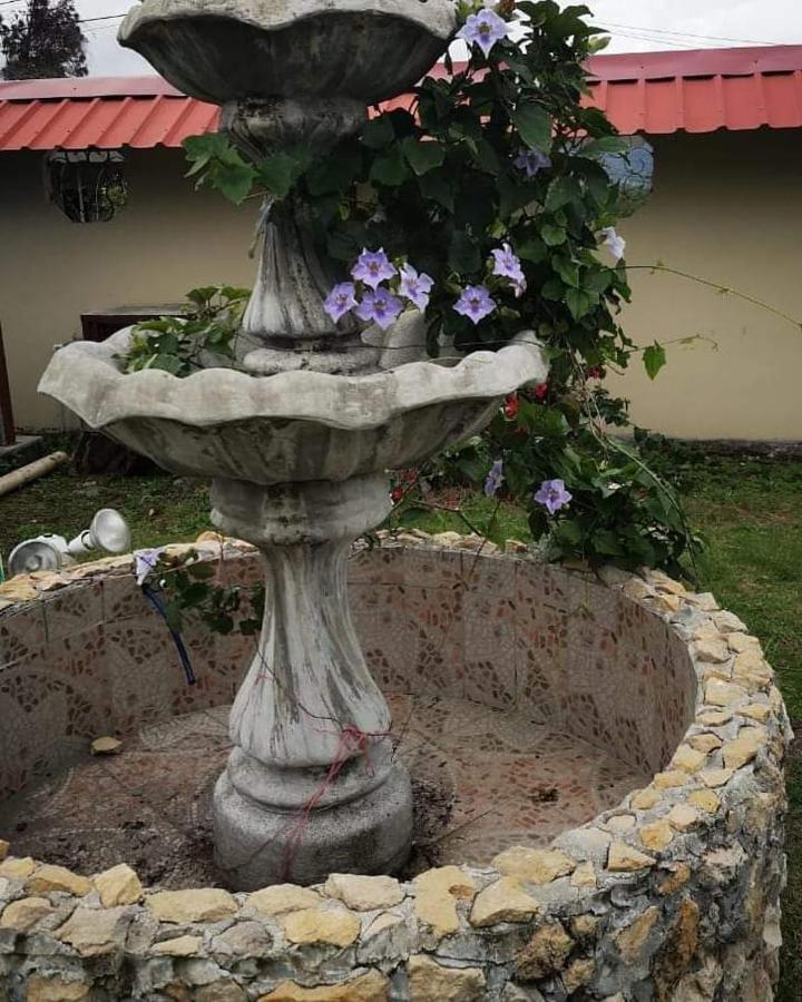 Cabañas Brisas Alto Bajo Boquete Exterior foto